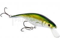 Westin Leurres P10SR Crankbait