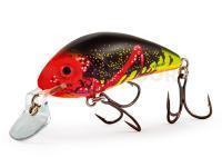 Salmo Leurres durs Rattlin Hornet Shallow