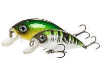 Lucky John Leurres durs Shad Craft