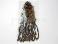 Wapsi Pine Squirrel Skin Zonked - Natural