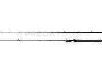 Canne Dragon Excite Cast 25 2.13m 5-25g Fast
