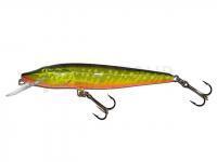 Leurre Salmo Pike PE9F - Hot Pike