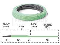 Soie mouche Cortland 333 Sinking Tip | Charcoal / Mint Green | 90ft | WF6S/F