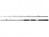 Canne Abu Garcia Beast Pike Jerkbait Casting 1.98m 40-90g