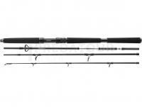 Canne Daiwa BG Offshore Travel 2.40m 40-125g