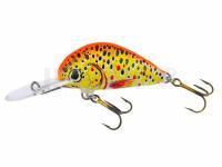 Leurre Dorado Alaska A-3,5 Floating FTR