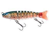 Leurre Jaxon Atract Multi Parts XMP-B 8cm - F