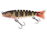 Leurre Jaxon Atract Multi Parts XMP-B 8cm - G