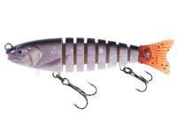 Leurre Jaxon Atract Multi Parts XMP-B 9,5cm - E
