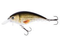 Leurre Jaxon Atract XXT-B 7cm C