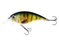 Leurre Jaxon Atract XXT-B 7cm E
