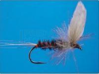 Black Midge no. 16