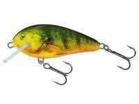 Leurre Salmo Butcher BR5F | 5cm 5g - Supernatural Hot Perch (QBU018)