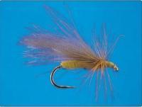 CDC Tan Caddis no.12