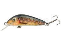 Leurre Hunter Champion 4.2cm S - RTR