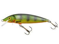 Leurre Dorado Classic C-9 Floating PM