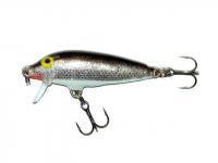 Leurre Rapala CountDown 11cm - Silver