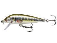 Leurre Rapala CountDown 7cm - Live Vairon