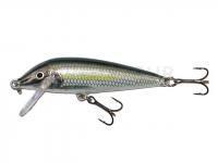 Leurre Rapala CountDown 9cm - Bleak