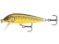 Leurre Rapala CountDown 5cm - Artistic Trout (ATR)