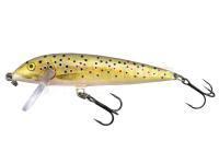 Leurre Rapala CountDown 9cm - Brown Trout