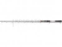 Canne Daiwa Ballistic X Baitcast 2.10m 7-21g