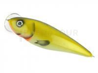 Leurre Dorado Dead Fish DF-10 Floating G