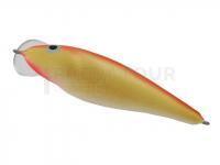 Leurre Dorado Dead Fish DF-10 Floating GFR