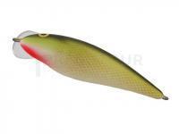 Leurre Dorado Dead Fish DF-10 Floating GR