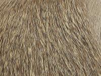 Wapsi Deer Body Hair - 227 Natural Brown