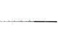 Canne Penn Warfare II Trolling & Drifting Rod 1.70m 50-100lb