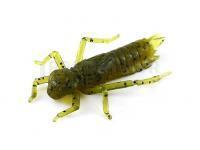 Leurre souple Fishup Dragonfly 1 - 074 Green Pumpkin Seed