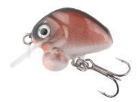 Leurre HMG Lures Droop Killer 25mm | 3,5g - 03