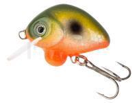 Leurre HMG Lures Droop Killer 30mm | 5g - 0230508