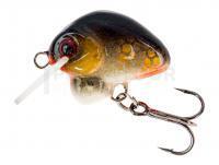 Leurre HMG Lures Droop Killer 20mm | 3g - 0220302