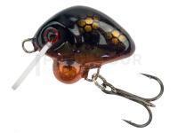 Leurre HMG Lures Droop Killer 20mm | 3g - 0220305