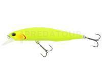 DUO Realis Jerkbait 100SP - ACC3524