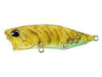 Leurre DUO Realis Popper 64 SW Limited 64mm 9g - CCC0343 Prawn