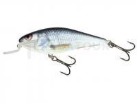 Leurre Salmo Executor IEX12SR RD