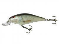 Leurre Salmo Executor IEX7SR RD