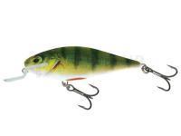 Leurre Salmo Executor IEX9SR RPH