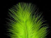 Plumes de marabout Hareline Extra Select Marabou #54 Chartreuse