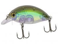 Leurre Quantum Fat Minnow SR 4cm 4g - real shiner