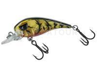 Leurre Molix FC45 MR Finesse crankbait - 05 Alqueva Craw