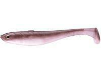 Leurres souples Fish Arrow Flash-J Shad Slim 5 - #F07 WAKASAGI/SILVER