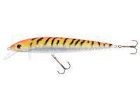 Leurre Jaxon Fish Max 21cm F Color GFT