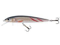 Leurre Jaxon Fish Max 21cm F Color KSY