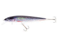 Leurre Jaxon Fish Max 21cm F Color P