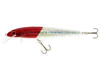 Leurre Jaxon Fish Max 21cm F Color RH