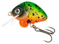 Leurre HMG Lures Droop Killer 30mm | 5g - 0230511